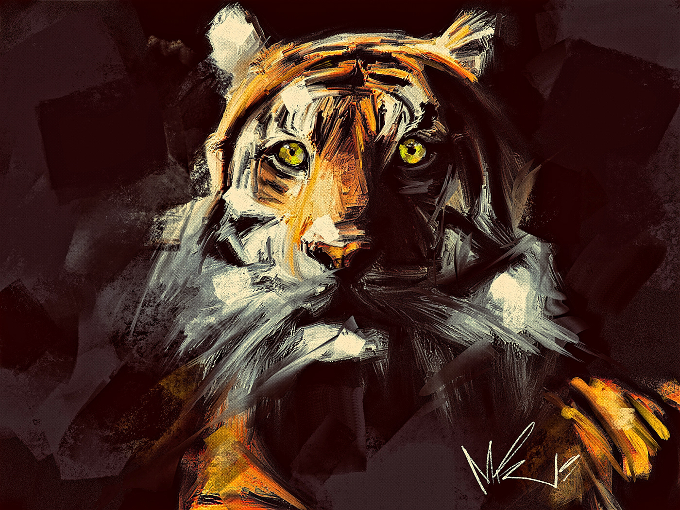 perth Australia tiger wildlife contemporary art Digital Art  Abstract Art Cat modern art impressionism
