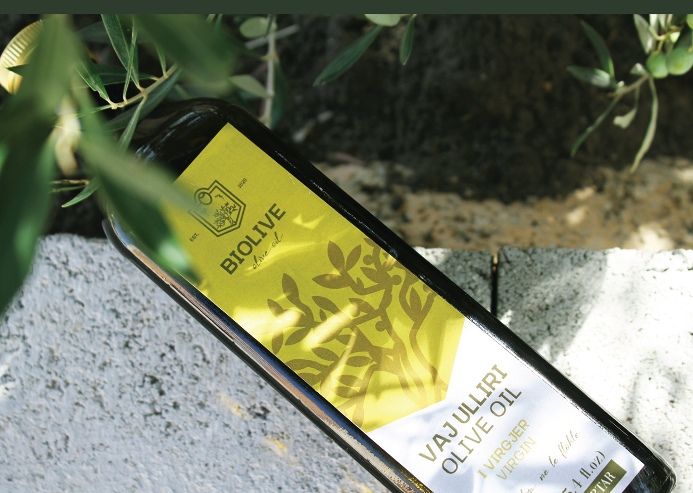 olive oil Albania Berat Greece Packaging Logo Design visual identity agihaxhimurati brand identy