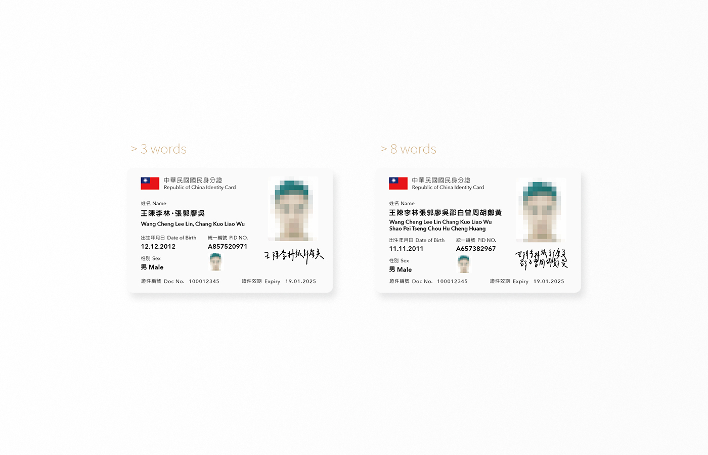 id card typography   redesign taiwan retypography identity name nation card Government