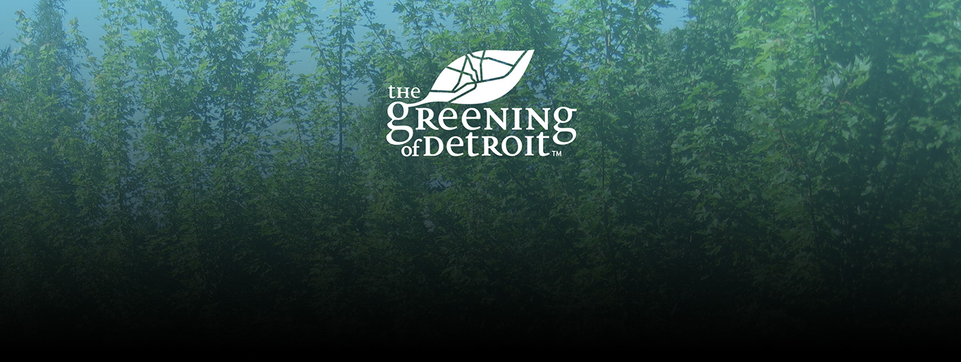 greening of detroit nonprofit