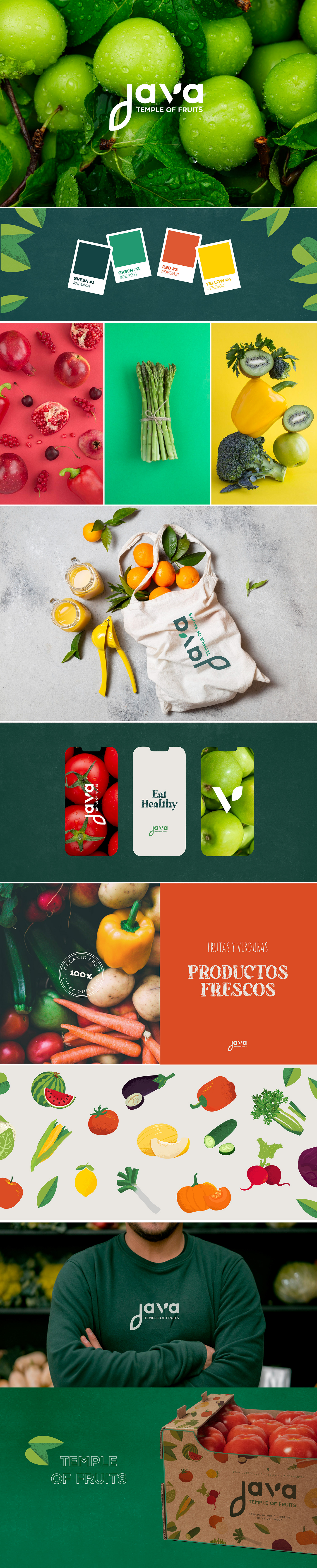 fruits vegetables healthy organic green brand identity Logo Design identity logos Brand Design