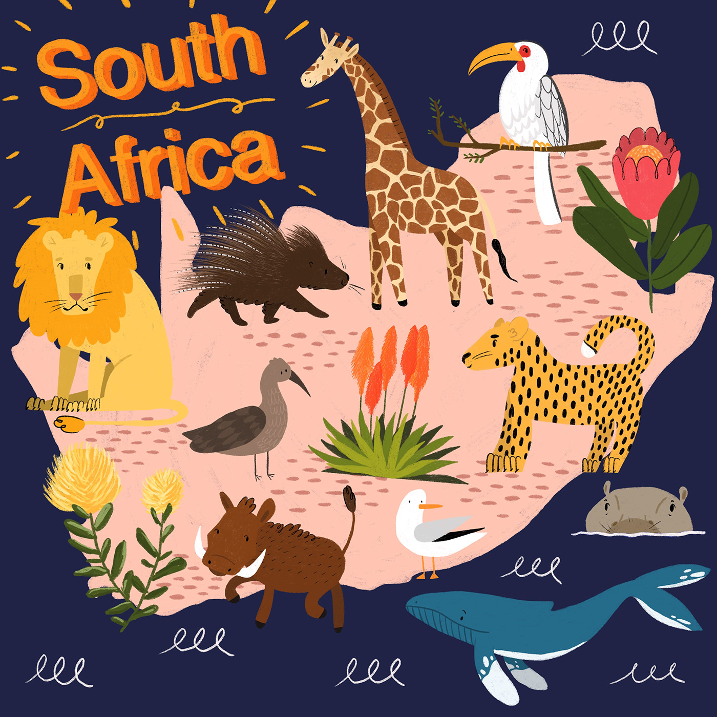 africa animals capetown loveafrica plants Procreate southafrica