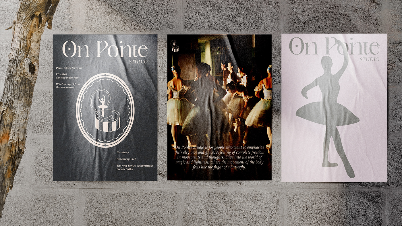 ballerina ballet brand identity branding  DANCE   graphic design  identity logo Packaging visual identity