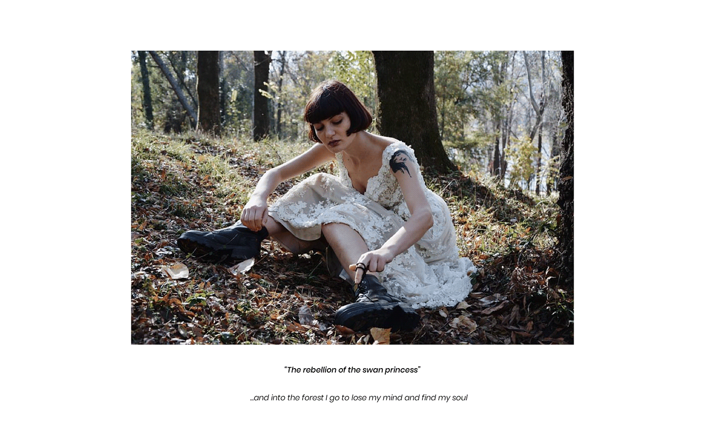 Photography  art forest Nikon model autumn