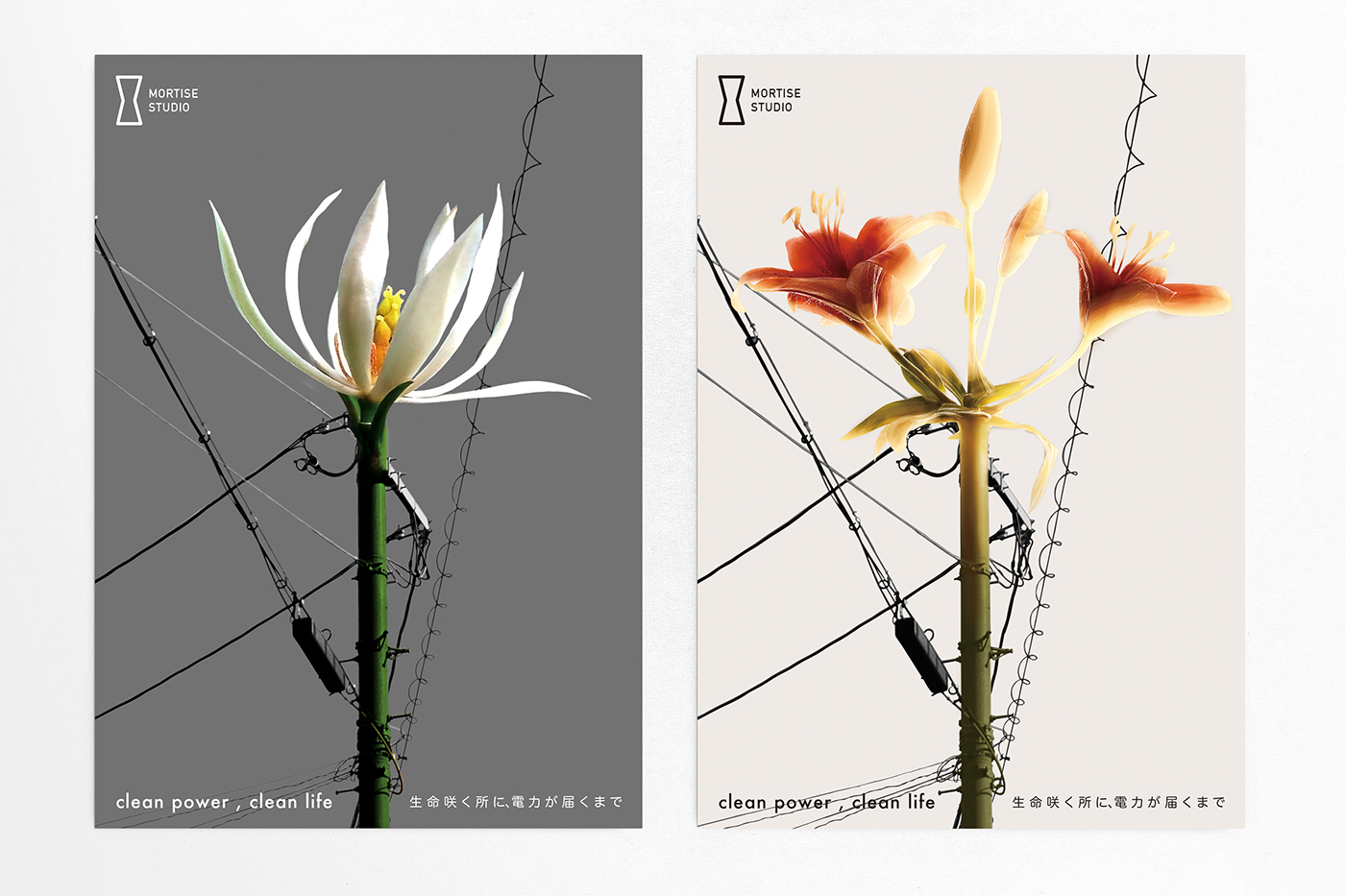 poster japan posters graphic design  public flyer Exhibition  logo flower environmental
