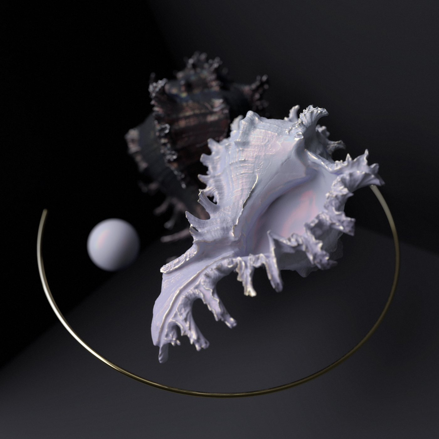 digitalart cinema4d ArnoldRender conceptart seashell Render perl beauty black gold
