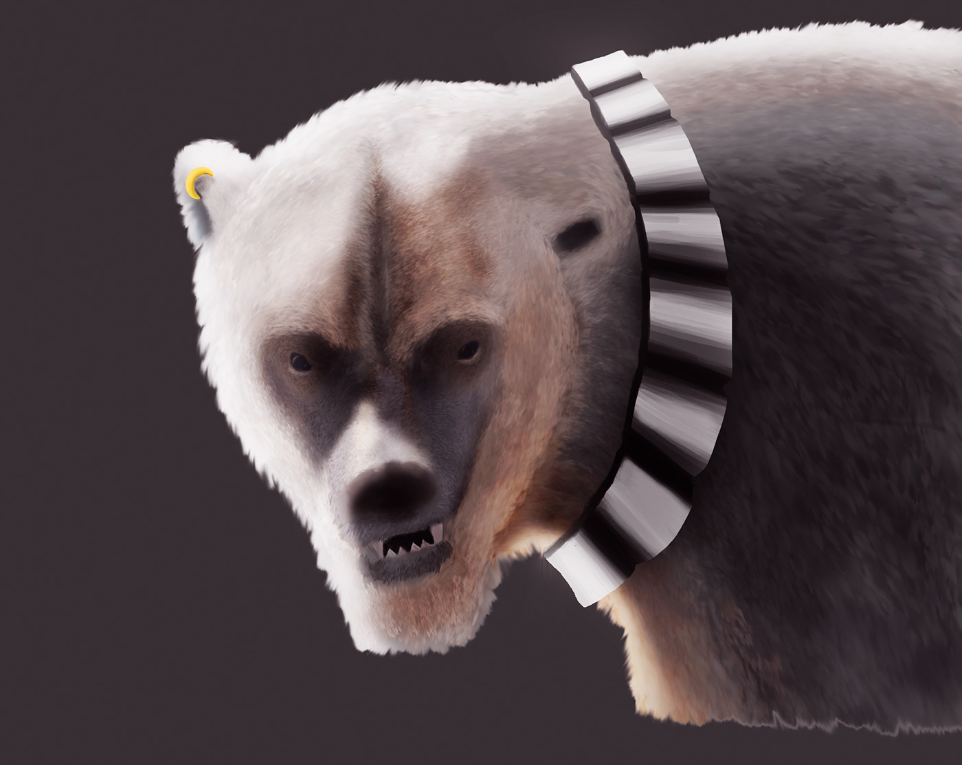 bear bear armor oso armadura oso polar oso polar armadura Polar Bear polar bear armor