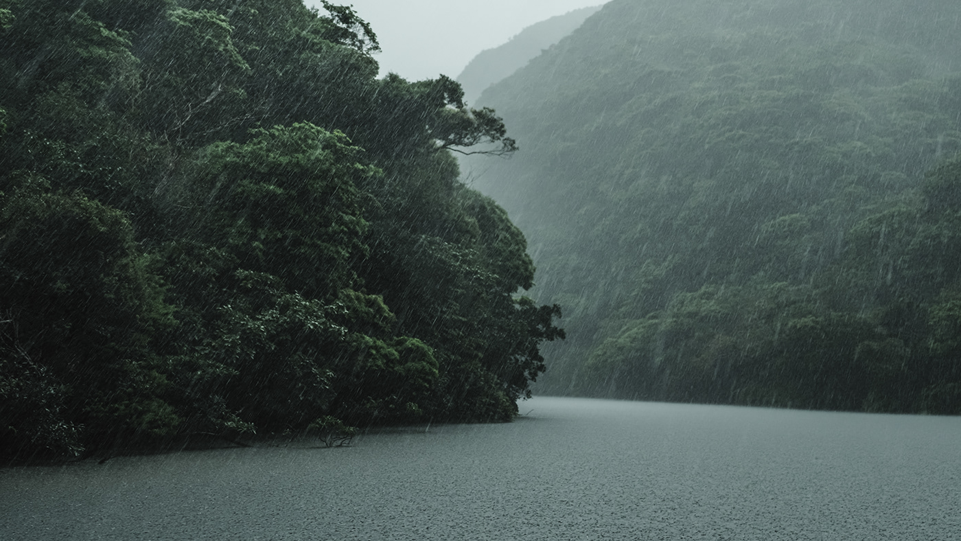 animals forest green Island japan Landscape Nature Okinawa olympus Widlife