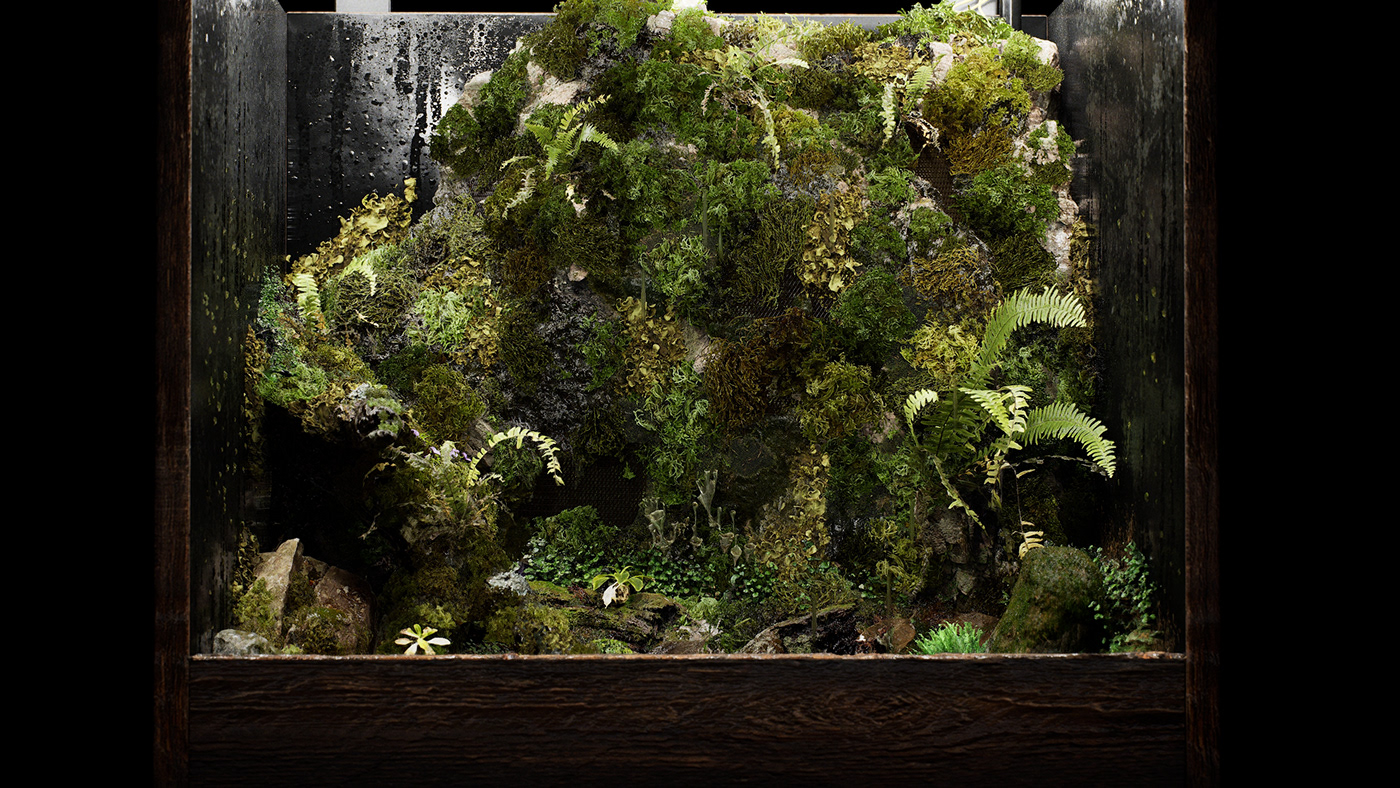 3D Nature plants realtime terrarium Unreal Engine Unreal Engine 5
