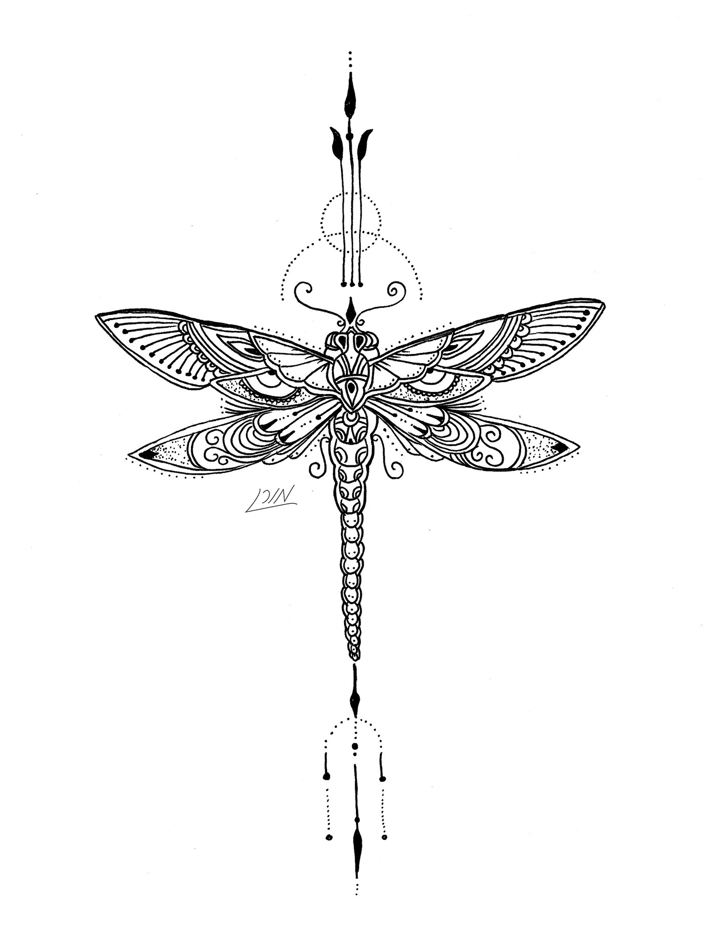 ♦ Dragonfly ♦ on Behance