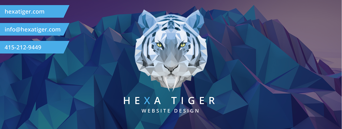 hexa tiger michael peres mikey peres web design california Web Design  web development 