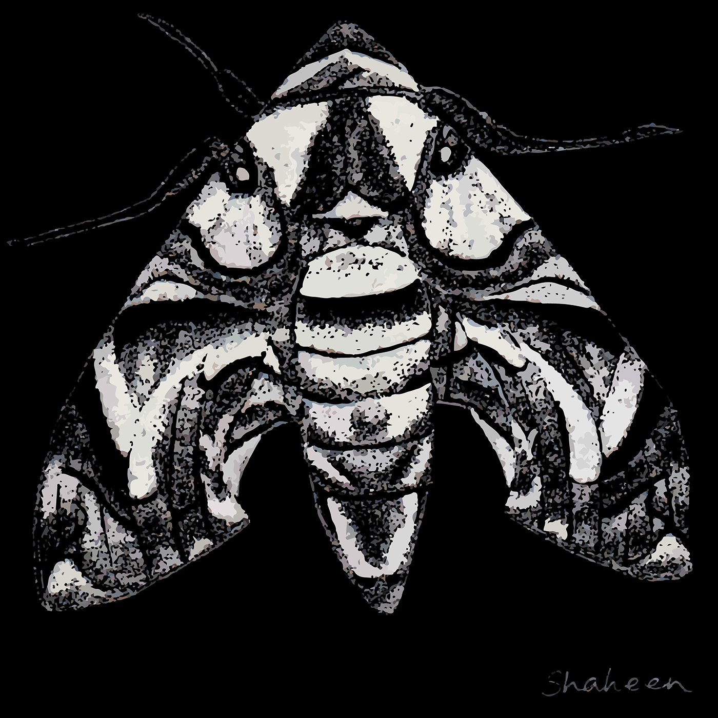 animal art animal illustration artwork bugs dotwork Drawing  insect art Insects Pointillism stippling
