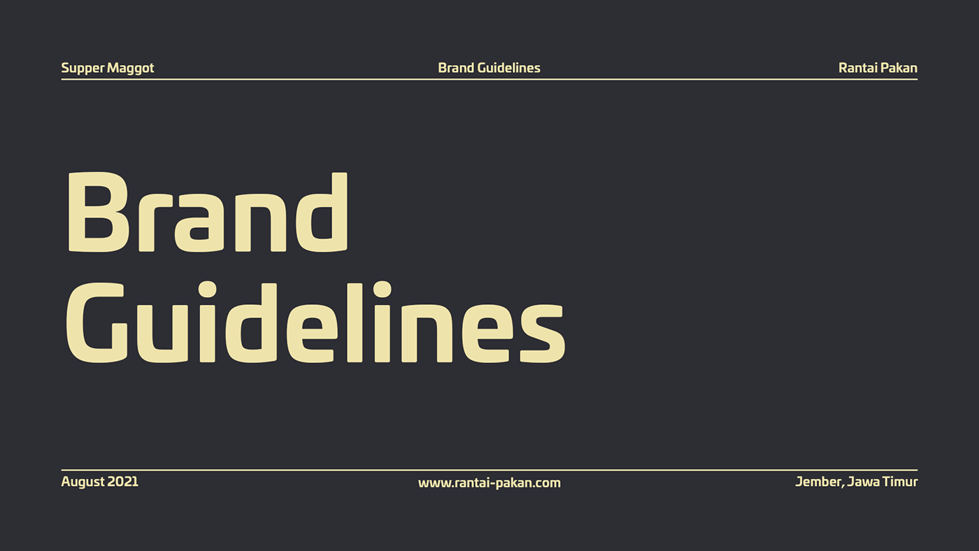 brand guidelines branding  brand identity Brand Design graphic design  design Logo Design visual identity brand identity