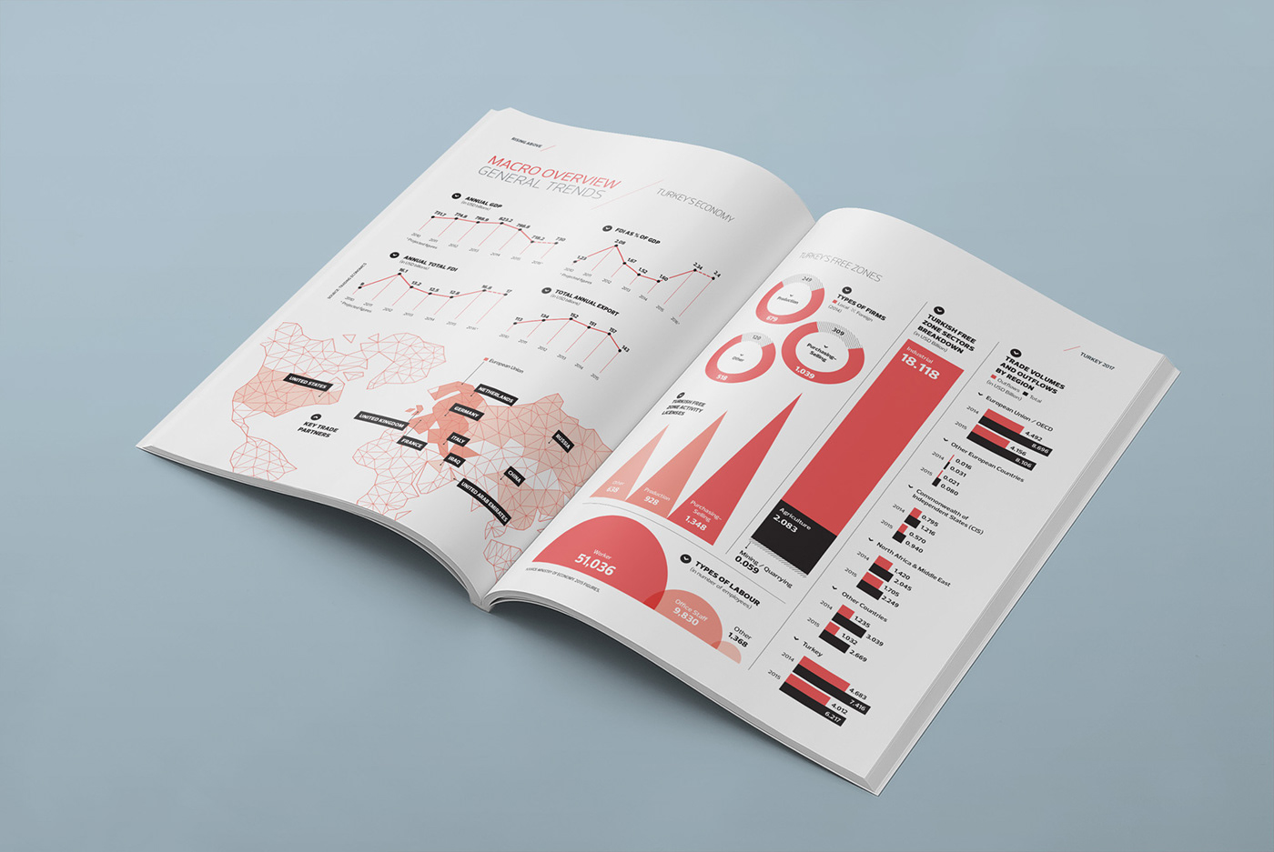 report magazine infographic Turkey chart typography   page layout