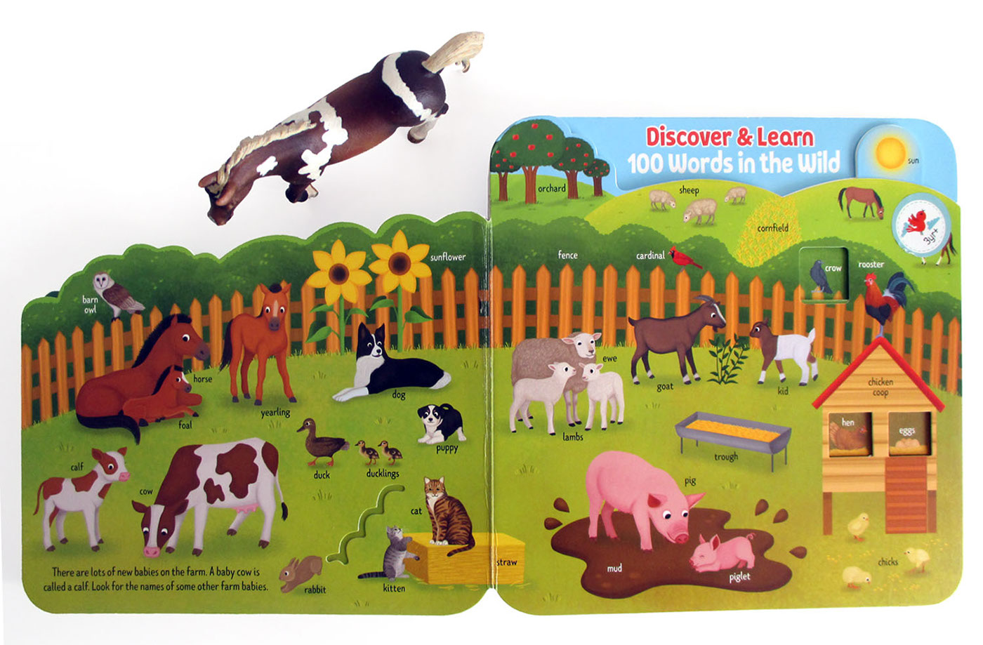 boardbook animals cottage door press ILLUSTRATION  children illustration children book wild animals