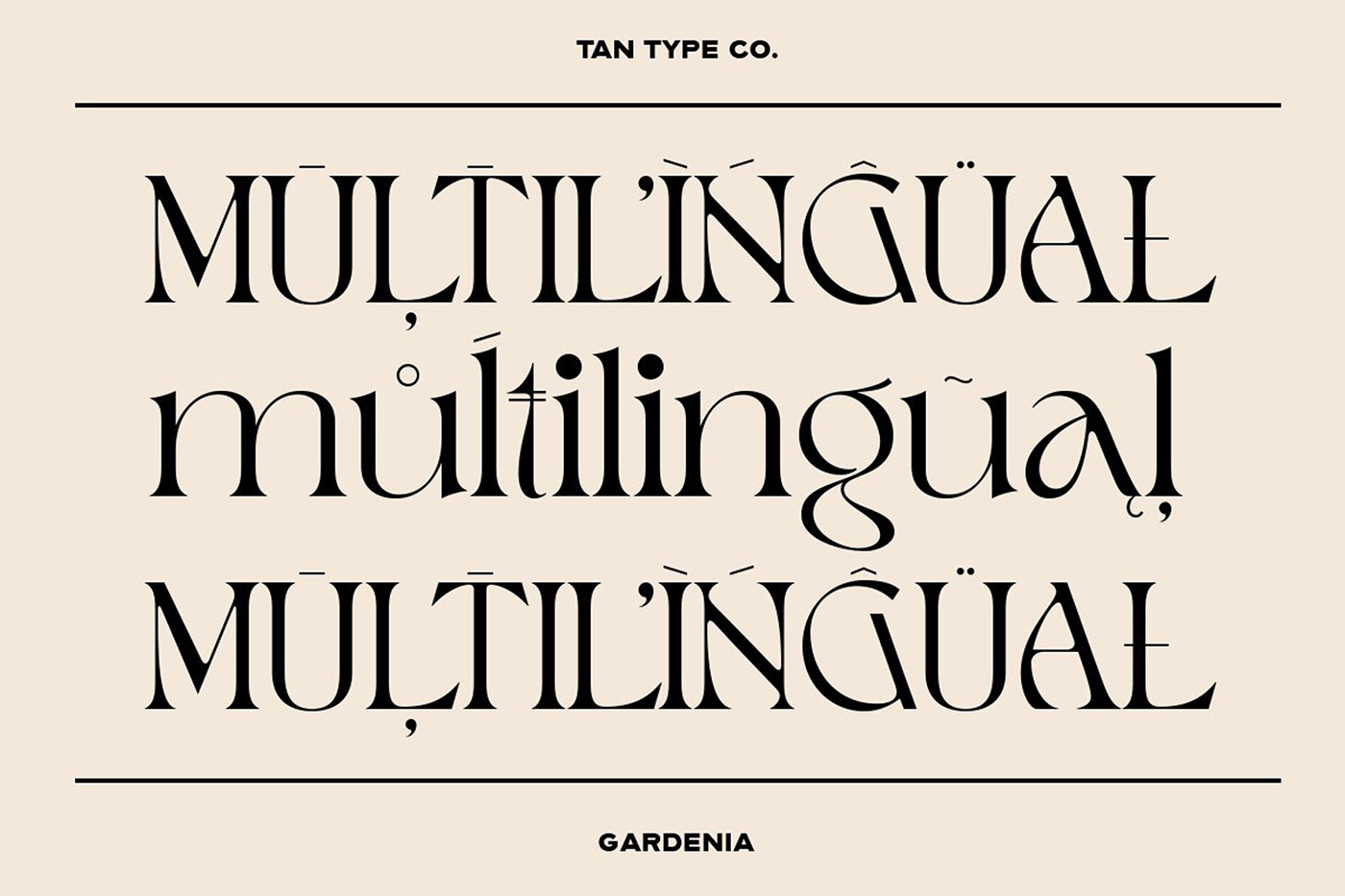 branding font classic font display font fun font ligature font logo font modern font Serif Font type design Typeface
