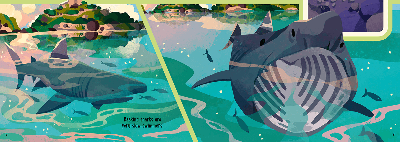 shark illustration animal illustration Picture book illustration non fiction illustration childrens illustration childrens book kidlit digital illustration ocean illustration