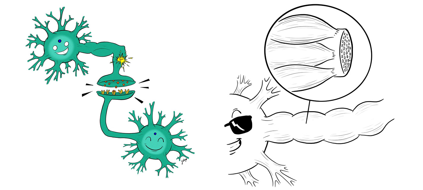 gabriele bonavera brain book editorial Brain centric design bonavera Character design  comics Rich Carr Neuroscience cervello neuroscienze