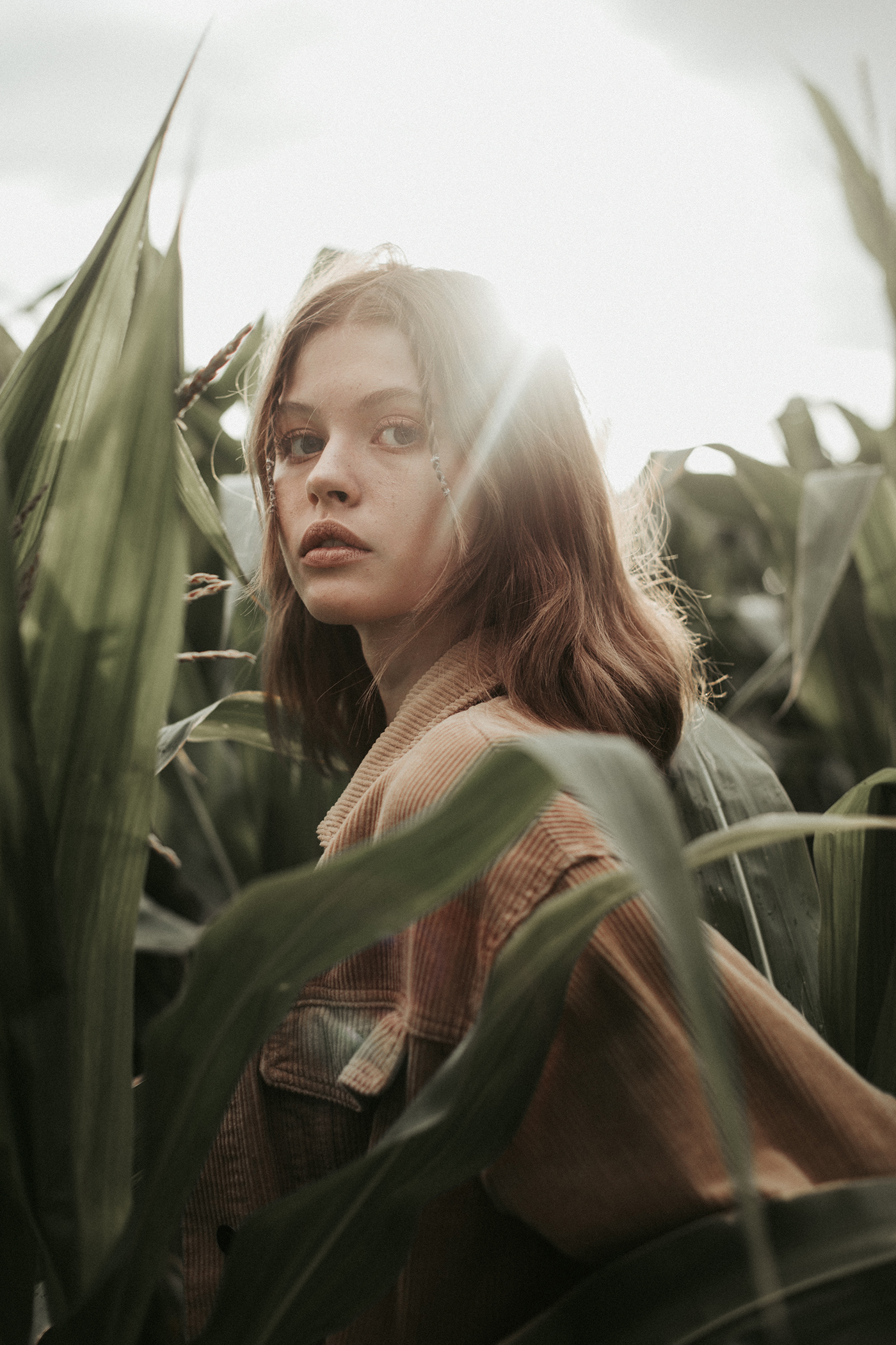 corn field girl portrait sunset lifestyle Nature hippy Hipster