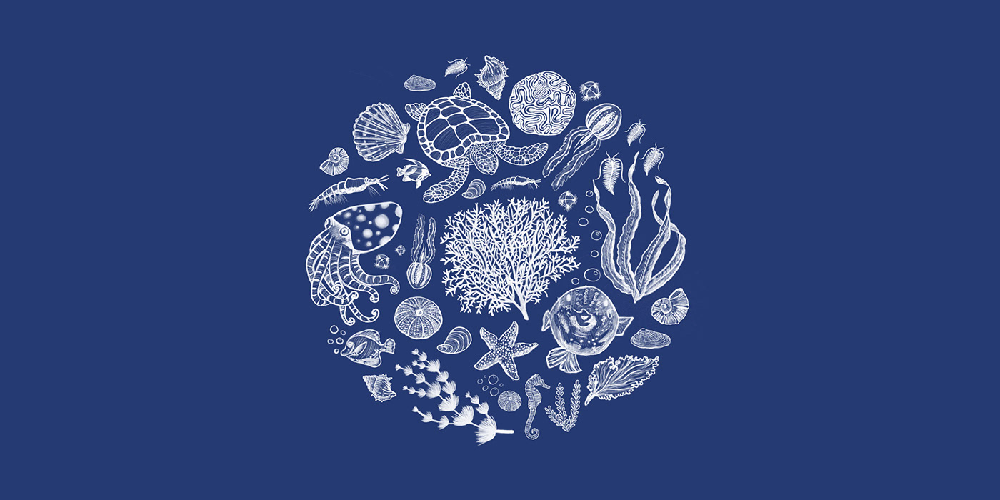 Ocean plankton ILLUSTRATION  festival Event visual identity Graphic Designer