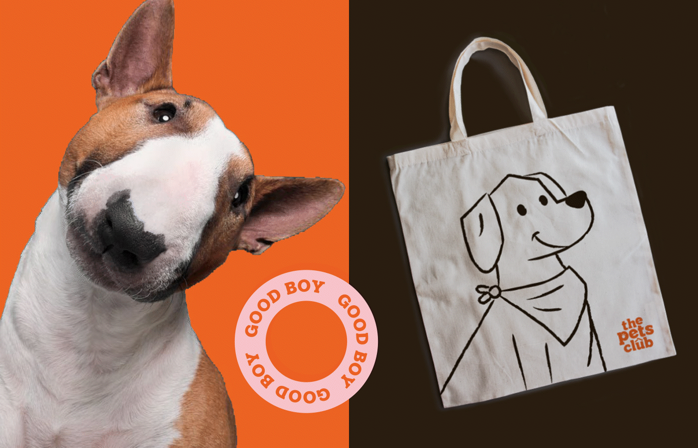 animal brand identity branding  dog graphic design  grooming logo pet shop Social media post visual identity