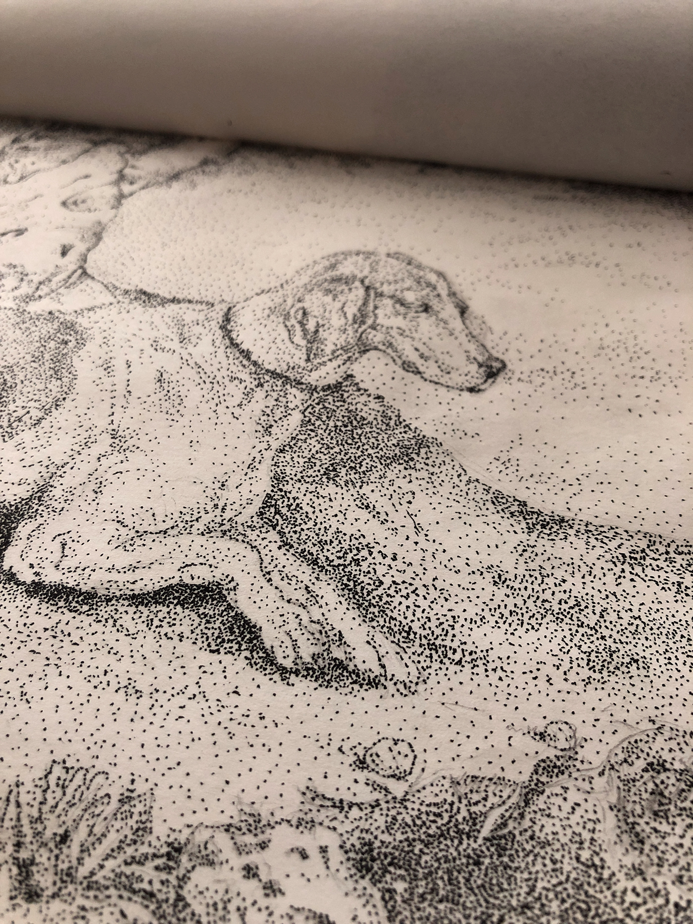 animal dog Drawing  ILLUSTRATION  sketchbook