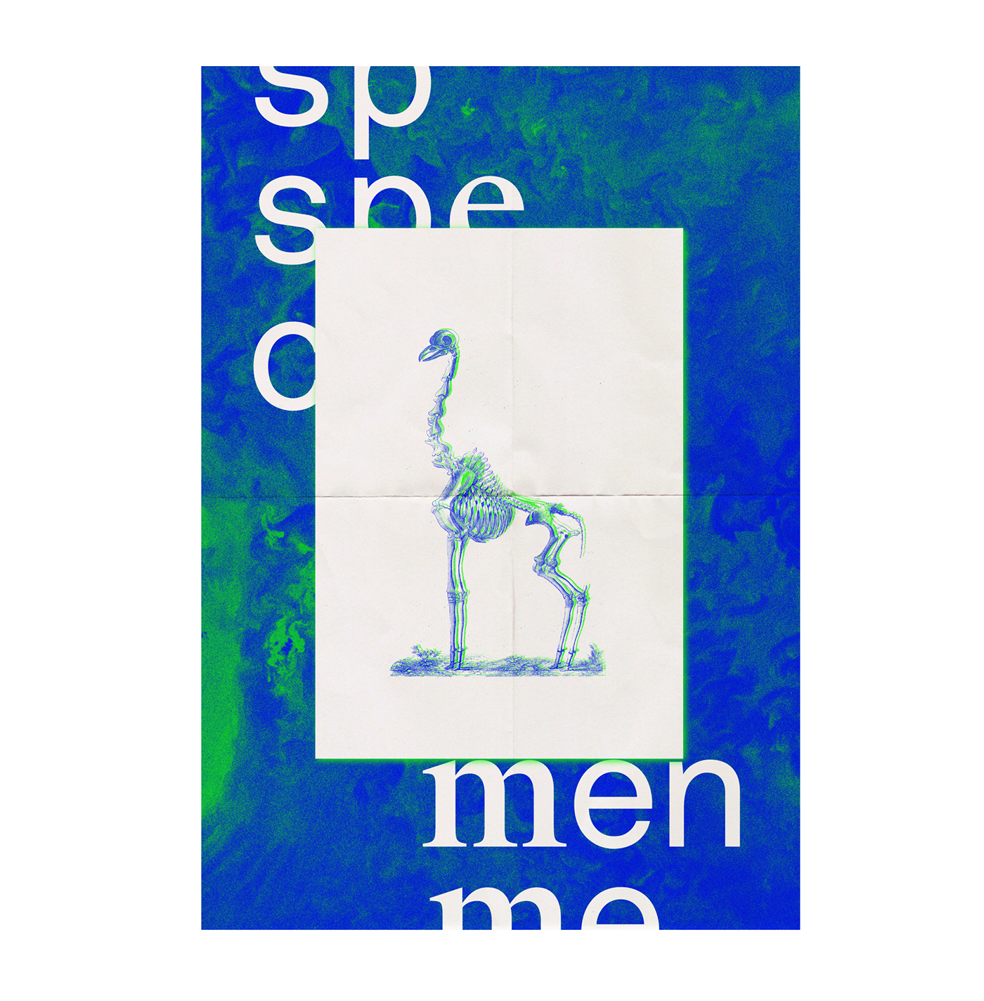 collage animals Duotone vintage risograph human skeleton animal skeleton  typography   serigraph risografia