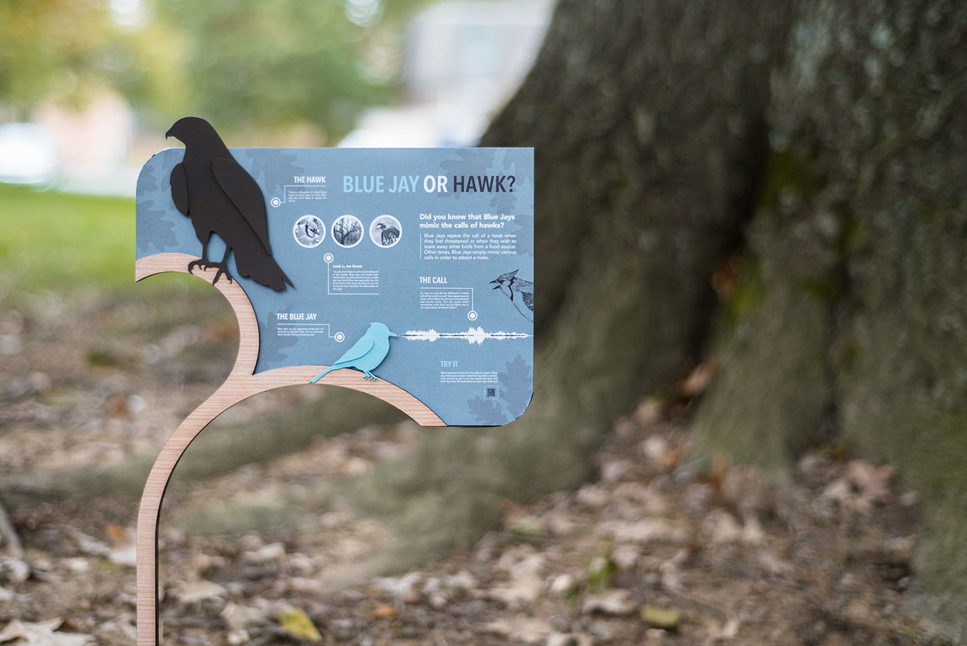interpretive sign graphic design  graphic exhibit Exhibition Design  Signage sign Nature bird wildlife