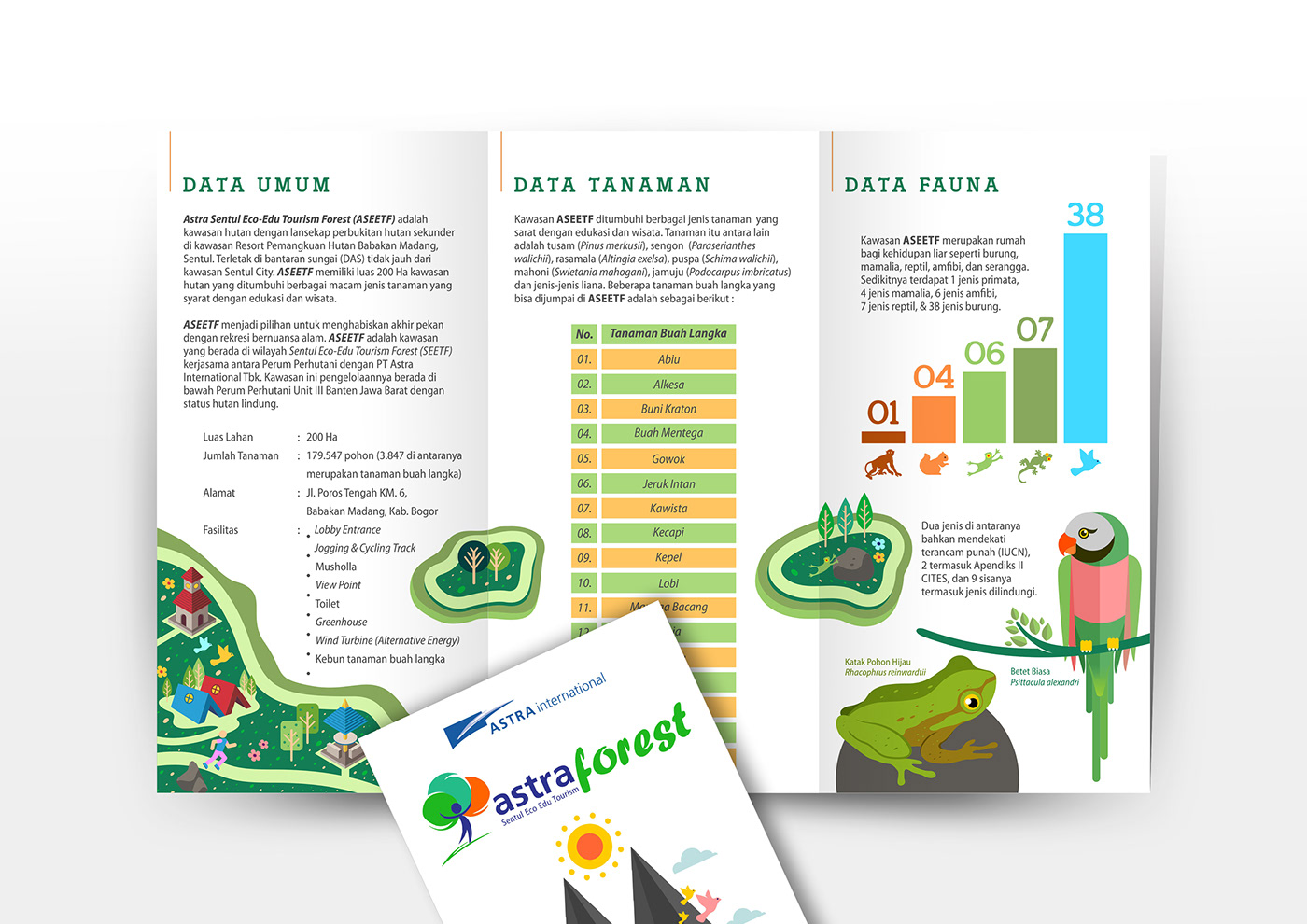 animal brand ecosystem forest infographic jungle map mountain vector