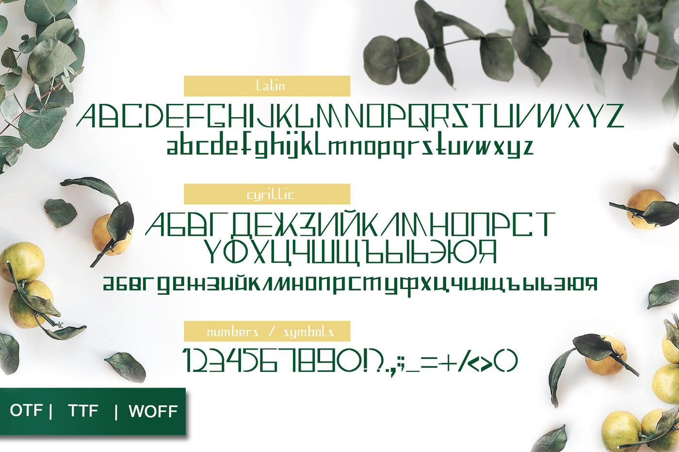 Cyrillic download font font Latin Minimalistic font otf ttf typography  