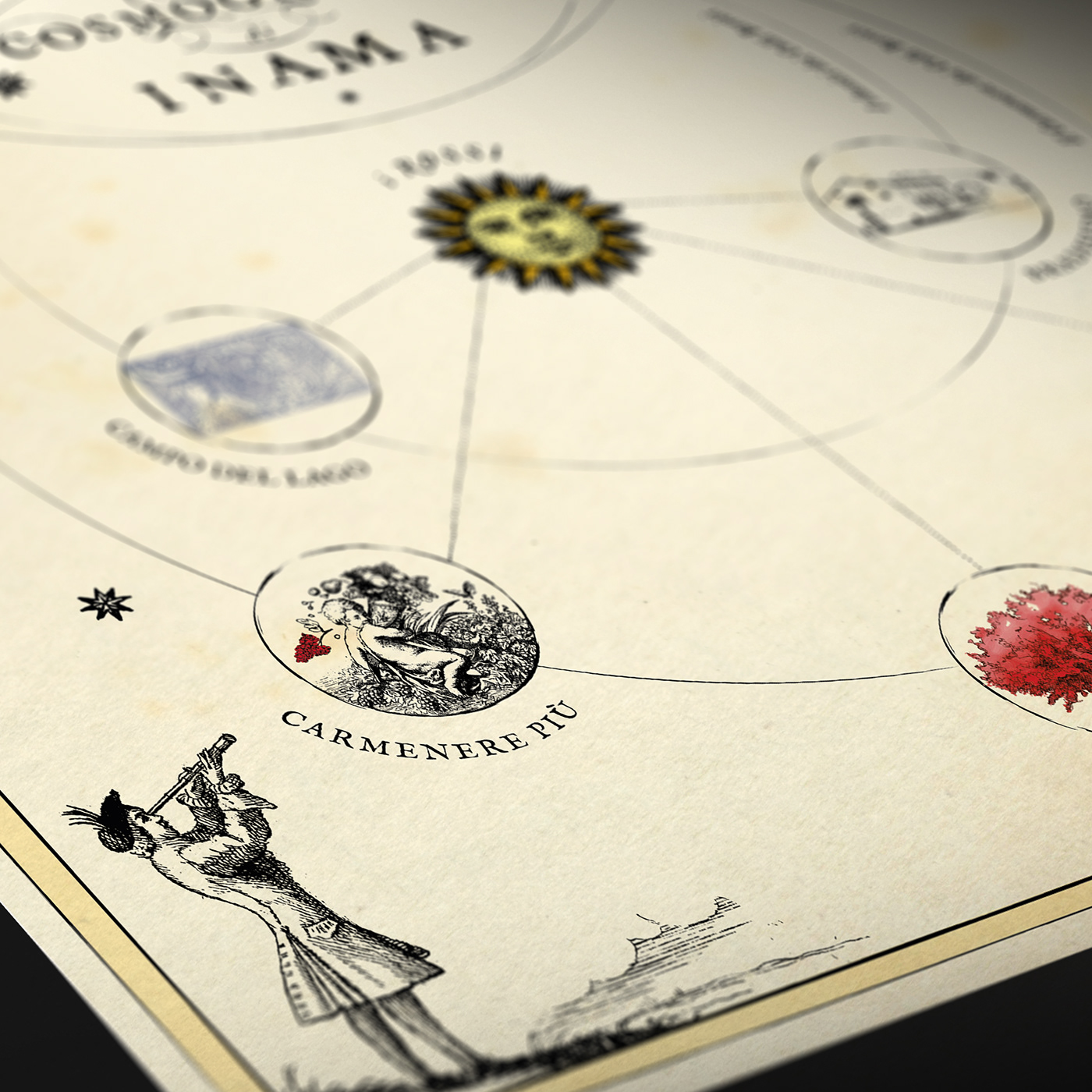 antique Astrology astronomy engraving infographics poster typography   universe wine