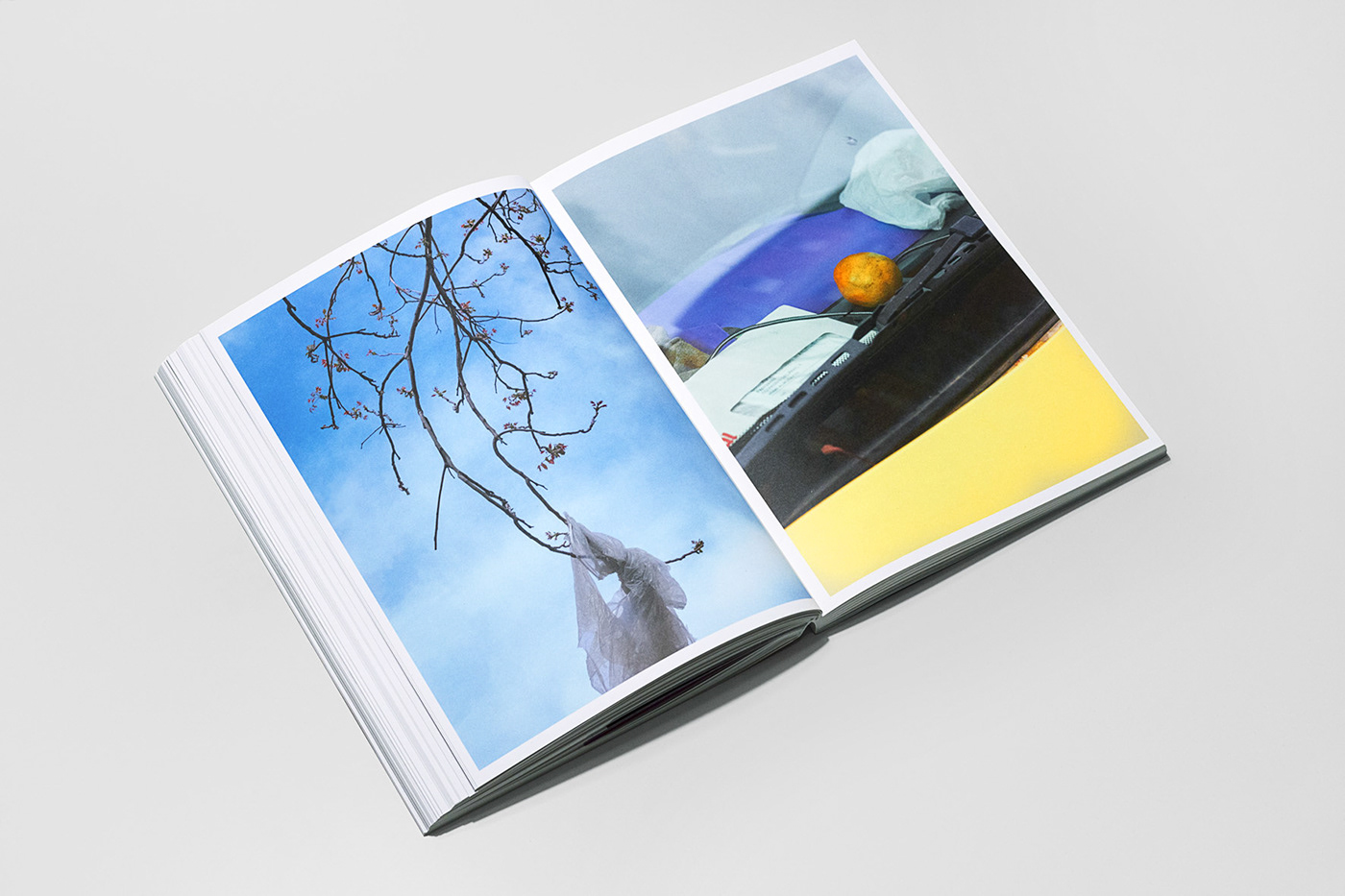 art artbook contemporaryart Diseño editorial editorial design  fotolibro Photography  photographybook