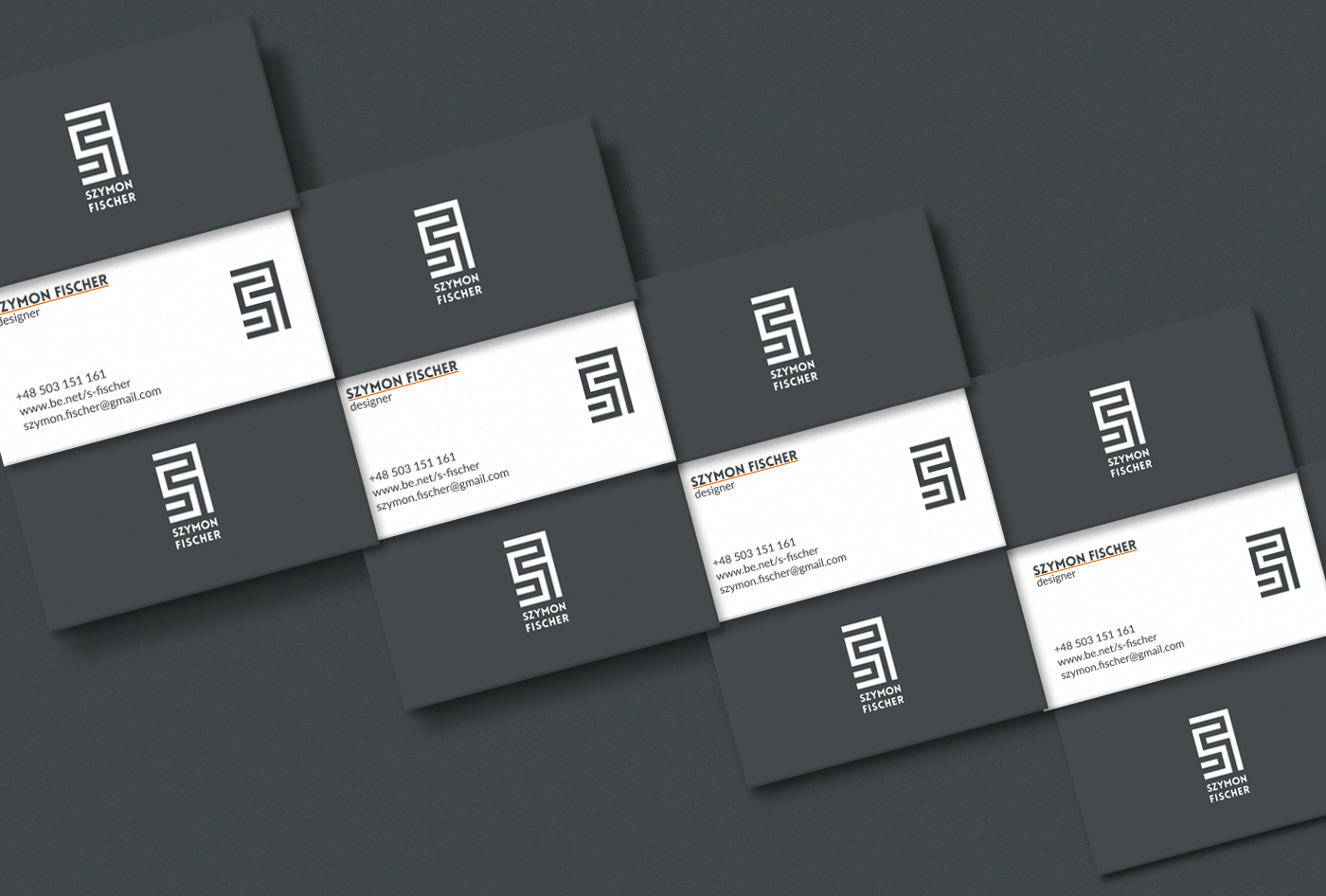 logo personal branding branding  Logotype portfolio minimalist Mockup identity corporate business card