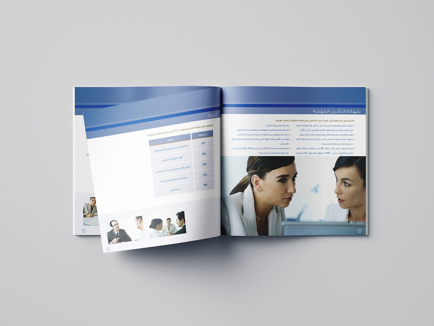 Application Booklet Layout publication offset printing Perforation print production