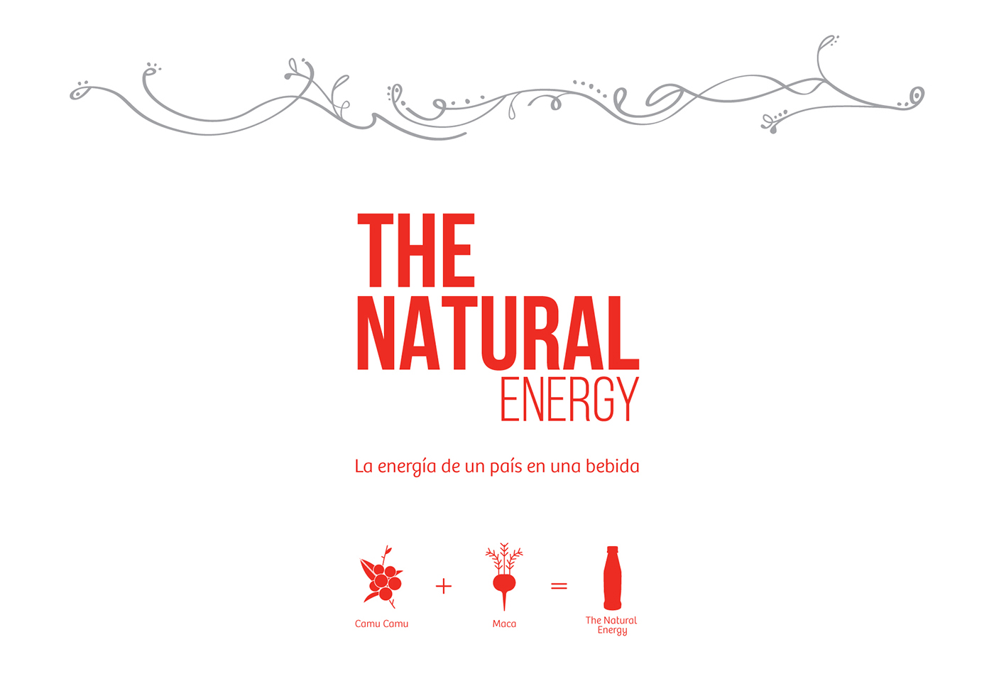 peru Bebida Energizante natural energy PROMPERU marca perú maçã camu camu apec