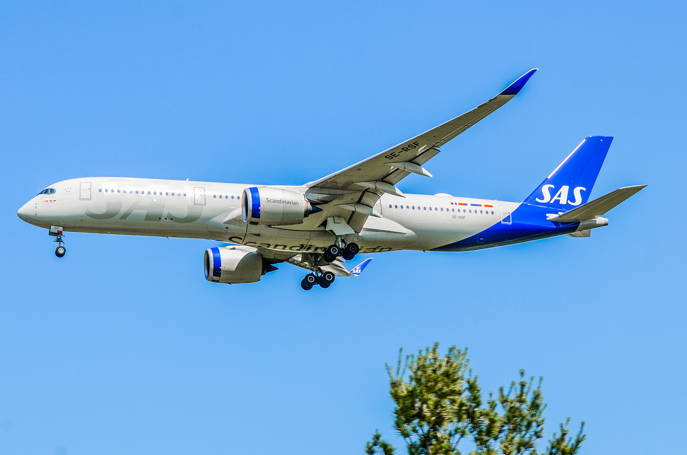 Airbus airbus A350 Dulles Airport Scandinavian Airlines