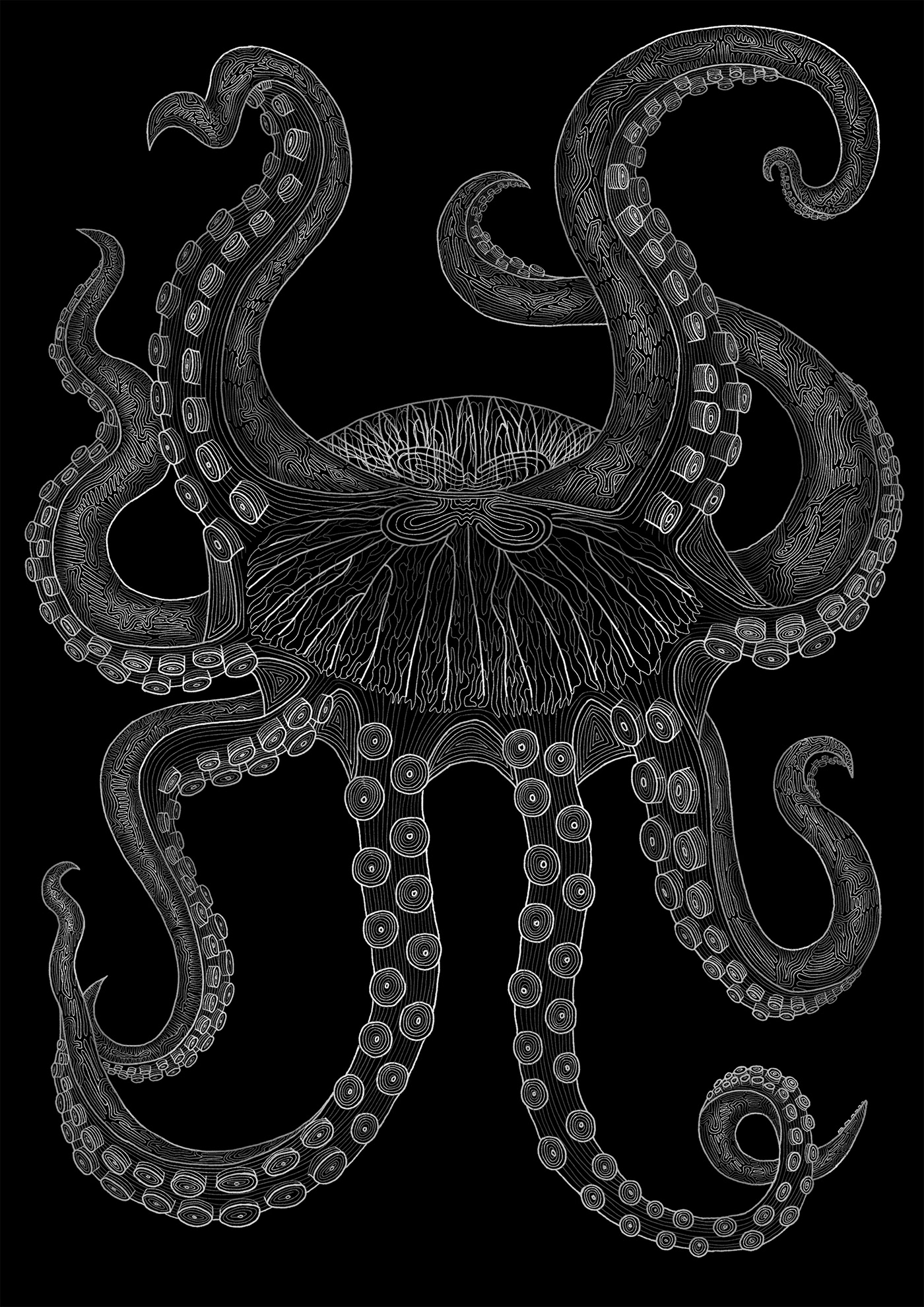 anthro black and white Character design  Digital Art  digital illustration jellyfish linear Nature octopus octopus illustration