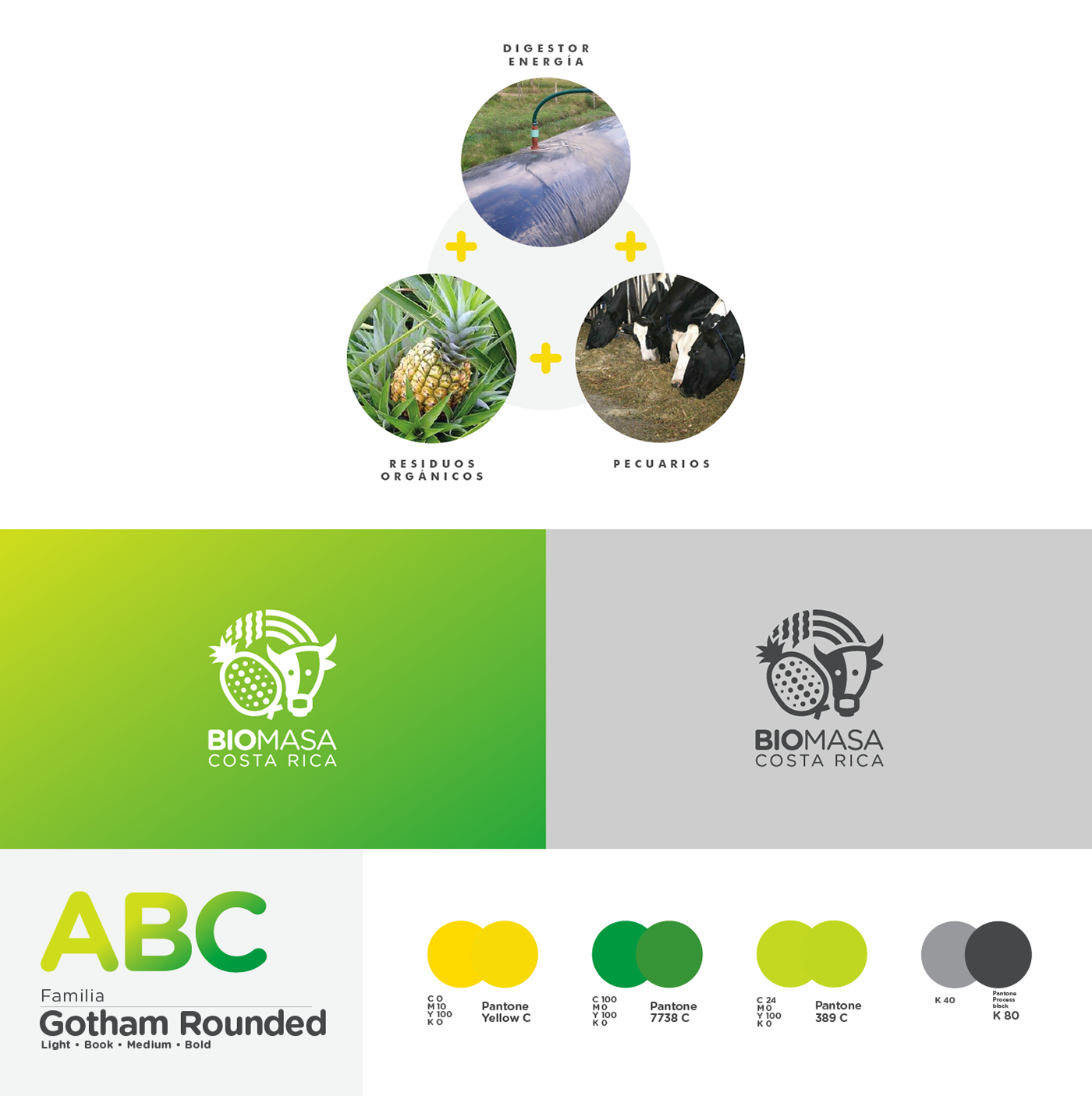 biomasa Gas Costa Rica energy climate change branding  logo natural