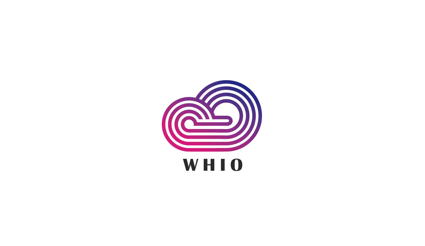 logo Logotype hosting branding  graphic design identity