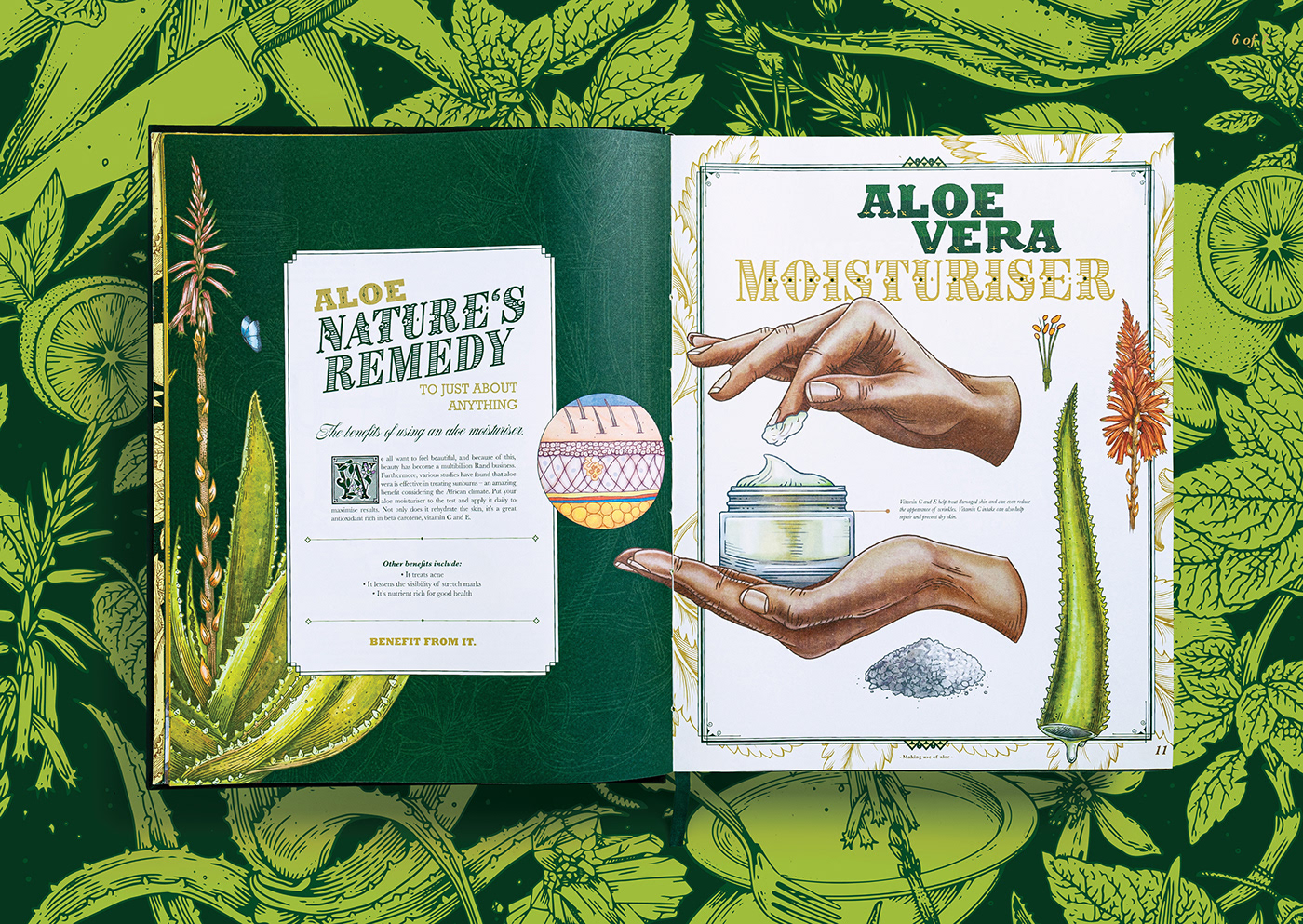 book design dig dishes green identity ingredients Nature planting plants