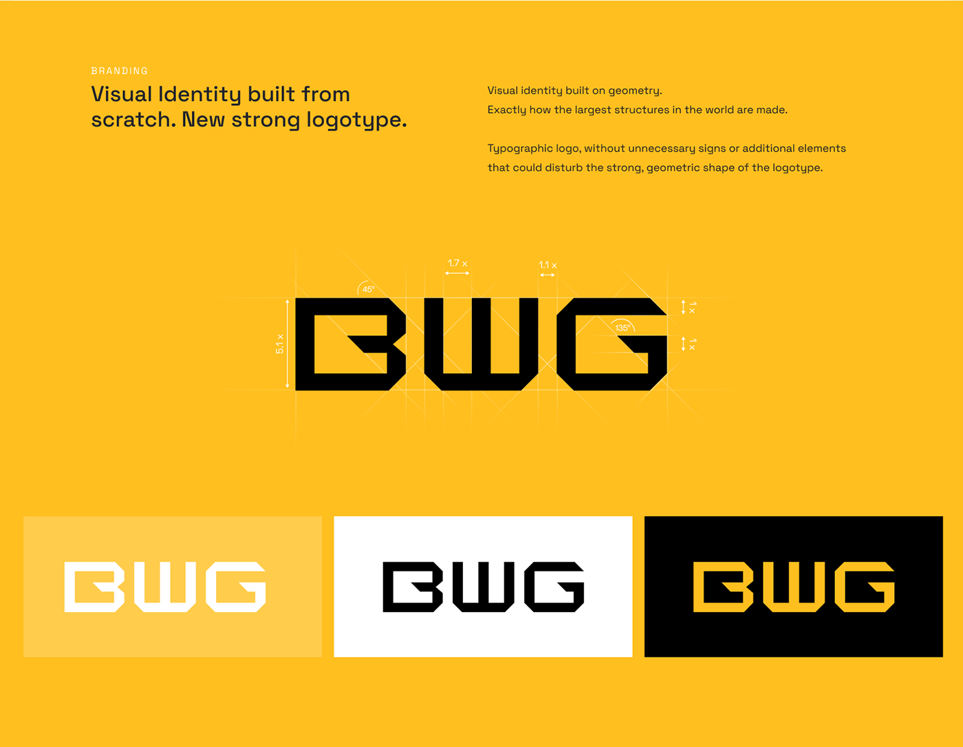 brand identity branding  identity landing page logo UI ui design user interface Web Design  Website