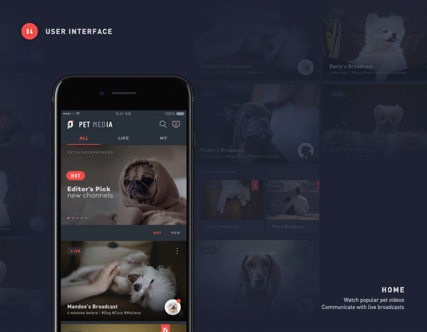 Pet broadcast dog Cat Chat live interaction GUI UI adobeawards
