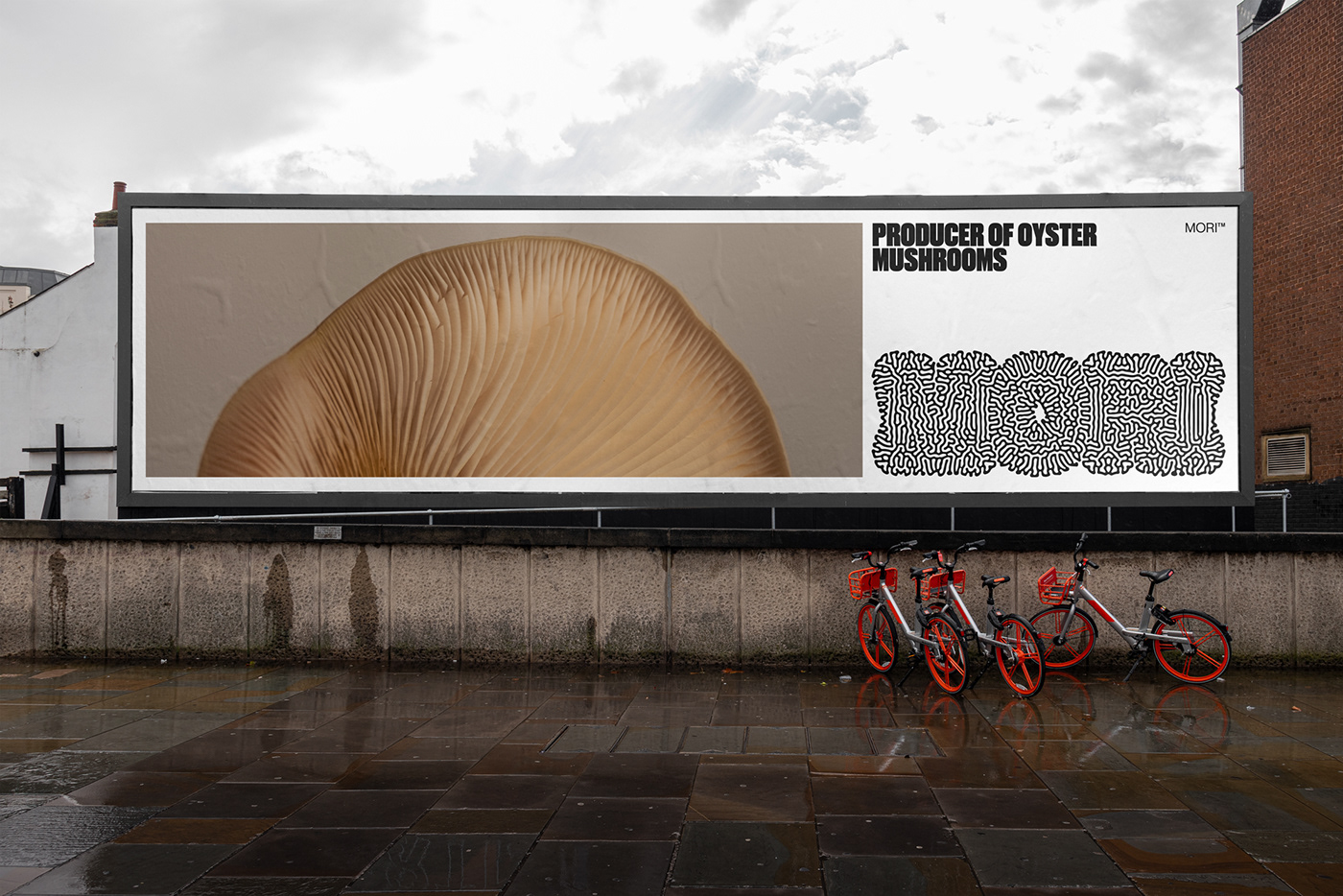 Logotipo Logotype visual identity Brand Design oyster mushroom