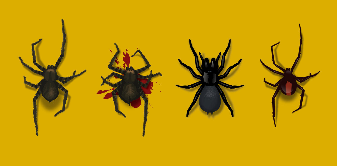 product design  game design  spiders app app design