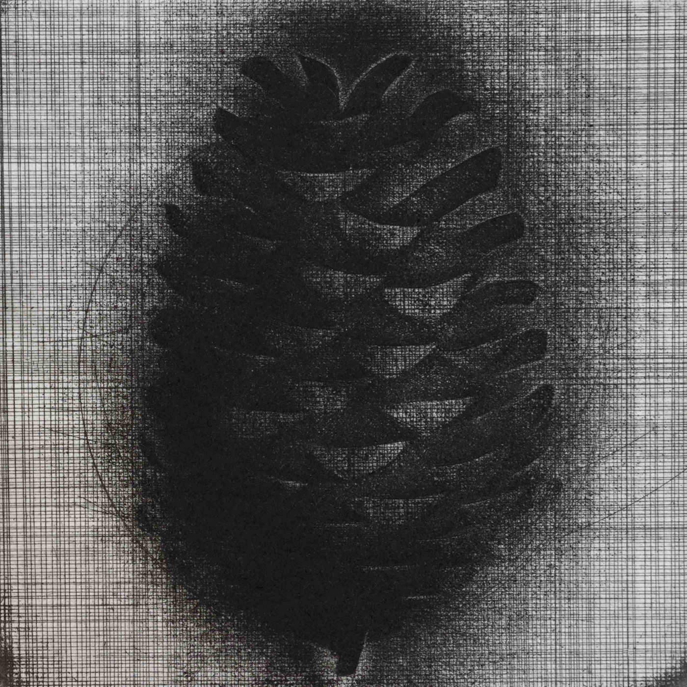 emblem etching pine cone