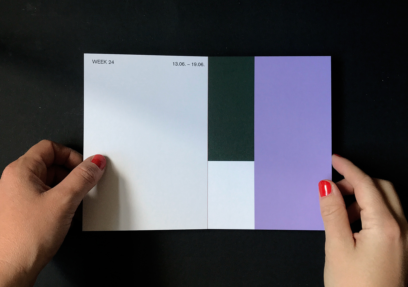 book cover book design books calendar design color combination Color Composition design Layout minimal graphic design typography  