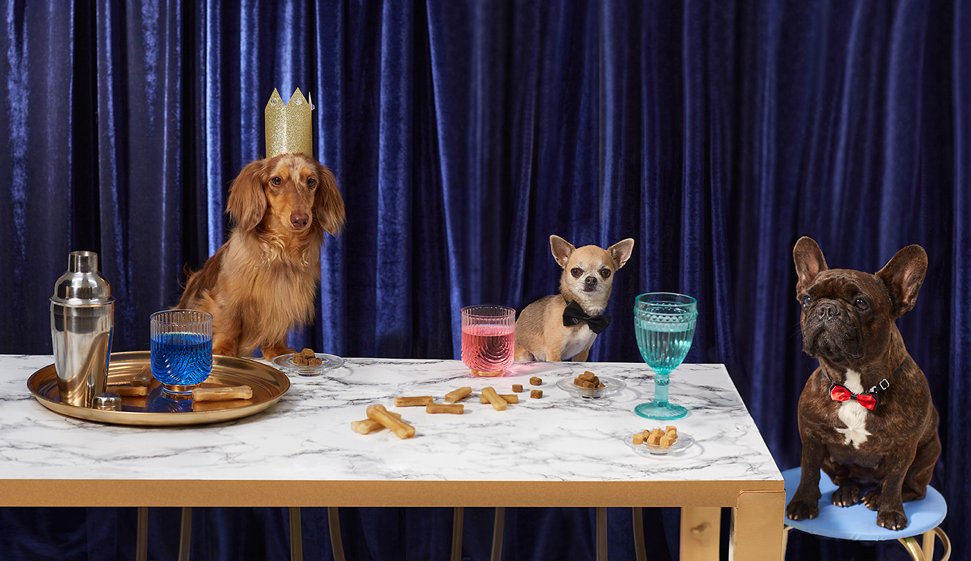 animal canine dog Pet pet vitamines Advertising  Fun
