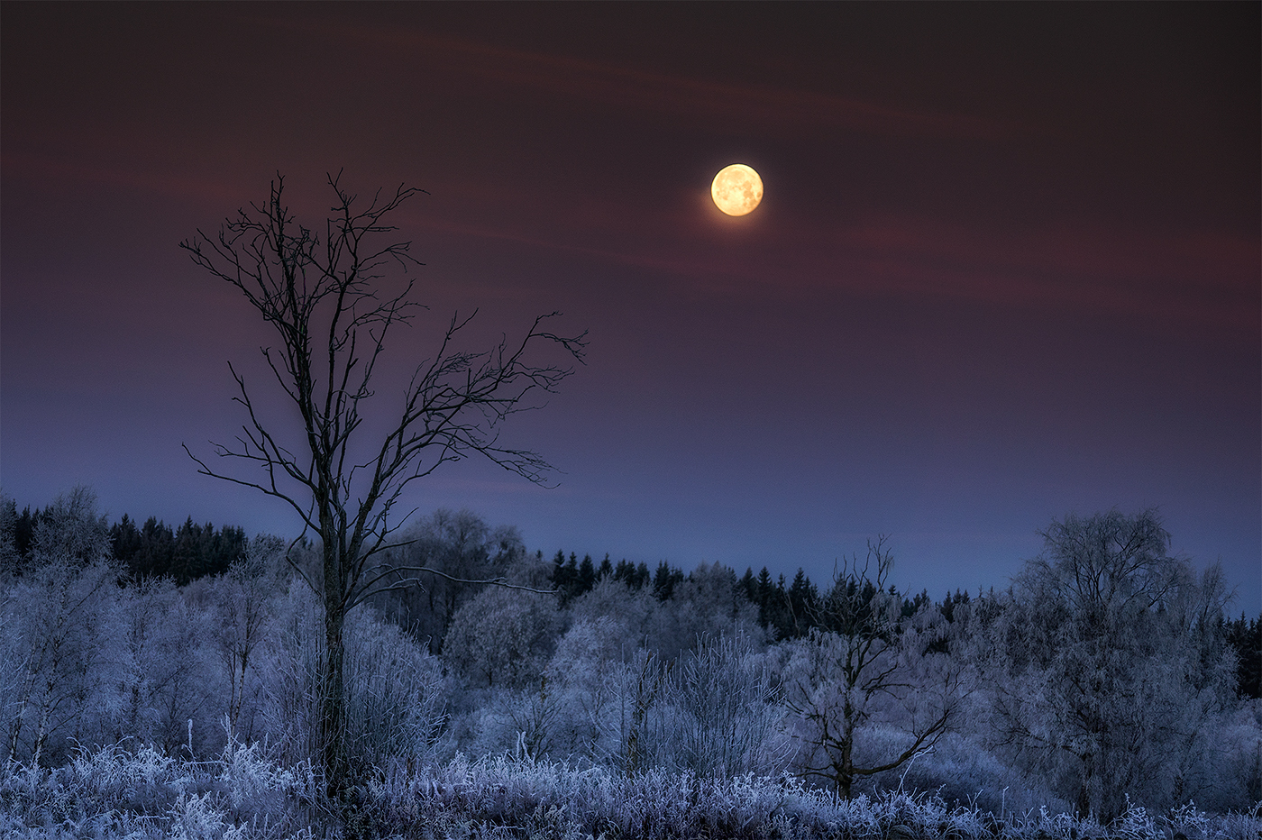 moon December MORNING Landscape winter frost