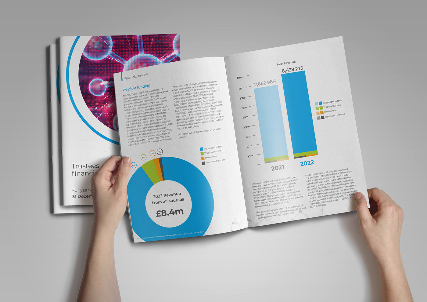 design report design brochure print InDesign Layout