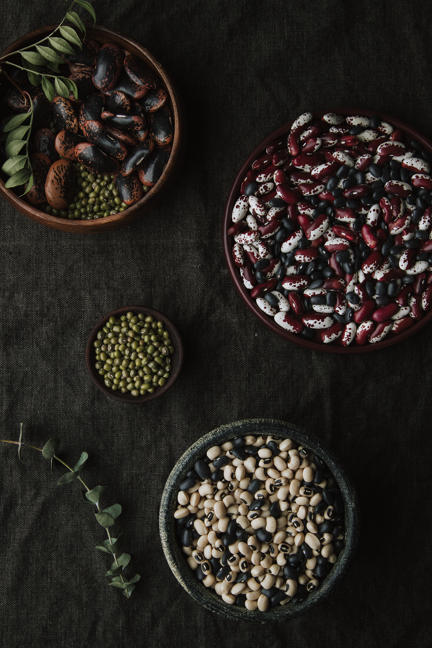foodfhotography foodphotographer darkfooodphotography beans artfood art Beautiful Food  color